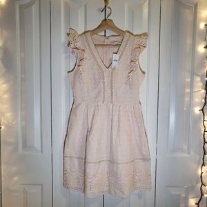 LOFT Eyelet Lace Ruffle Fit Flare Mini Dress Sleeveless Peach Pink Size 2